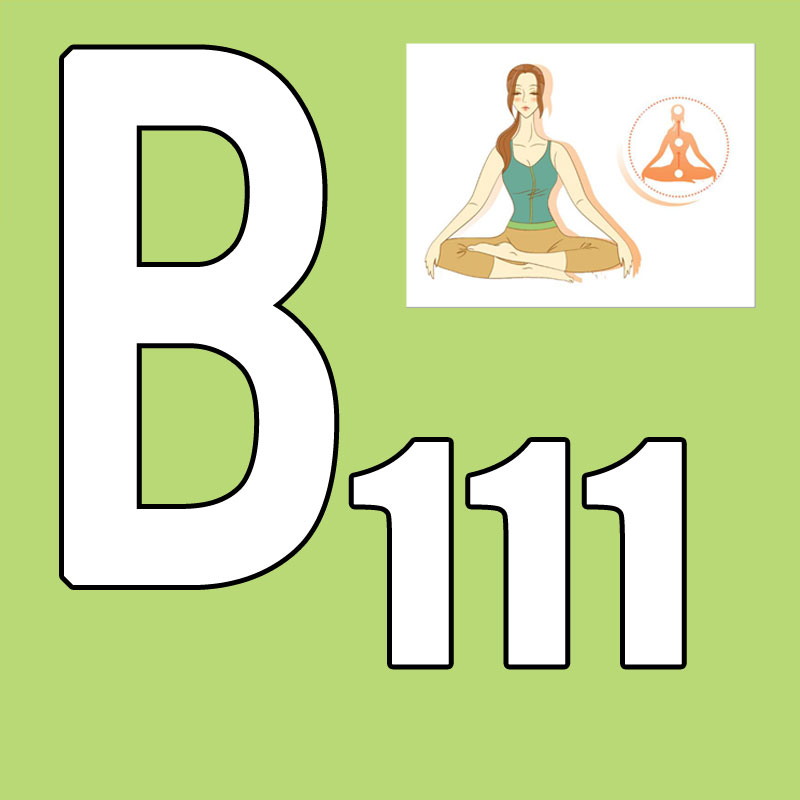 Yoga Fitness Group - 핫세일 최신 출시 2026.Q1 신규 코스
